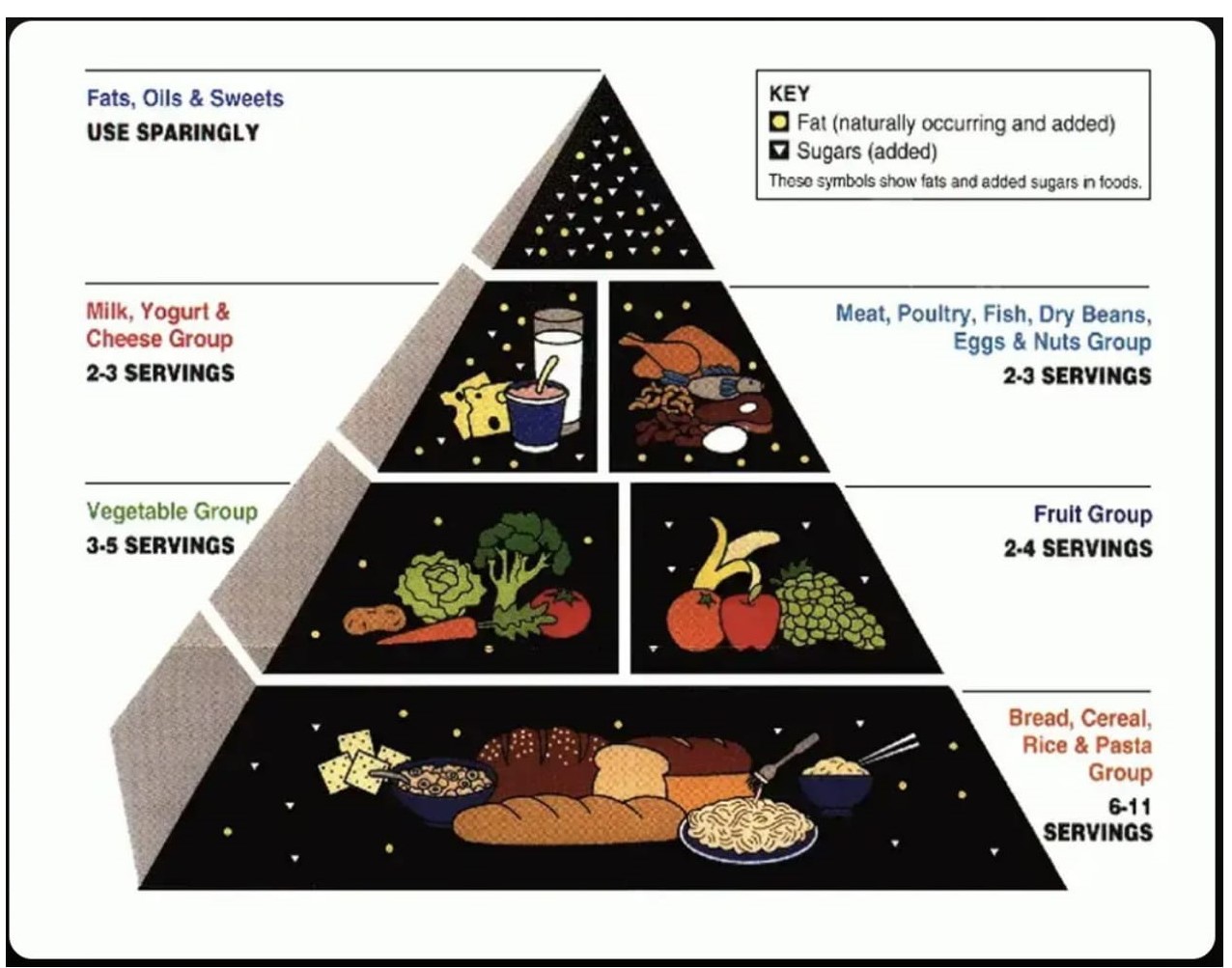 Eski Besin Piramidi, 1992